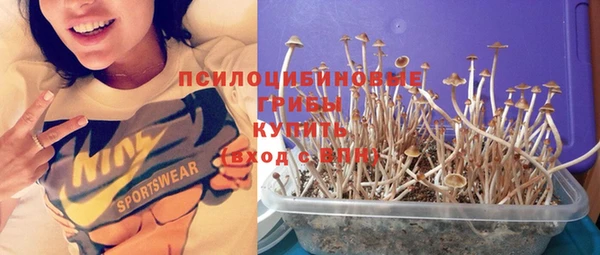 соль ск Балабаново