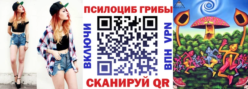 Псилоцибиновые грибы мухоморы где купить наркоту Козельск